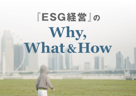 『統合思考経営』のWhy, What & How（第28回）人材多様性と人材ポートフォリオ（その1）を掲載しました。